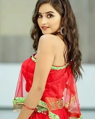 Escort In Sankarapuram